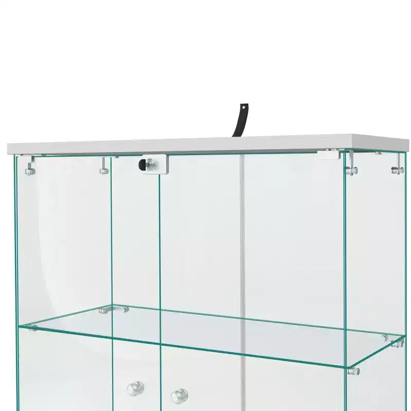 64,5 X 32 Glasvitrine Setzkasten mit Schloss