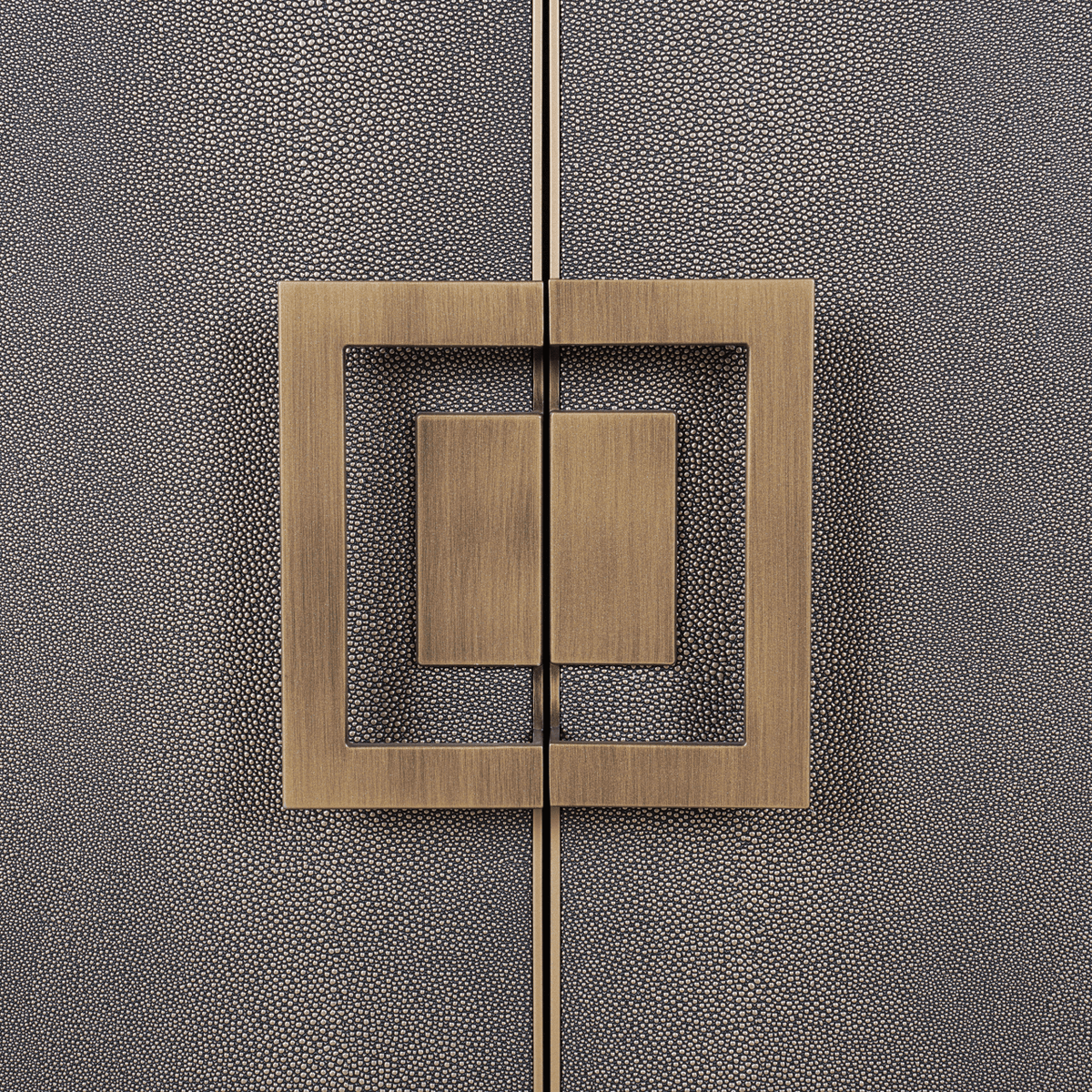 Sideboard aus schwarzem Holz und Rochenlederimitat mit zwei Türen und Messinggriffen